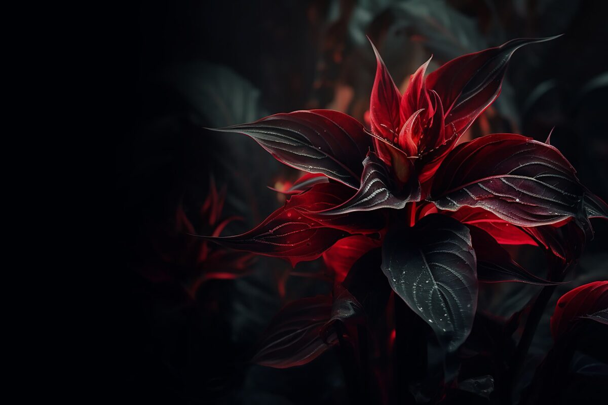 Kya Hanuman Ji Bandar The